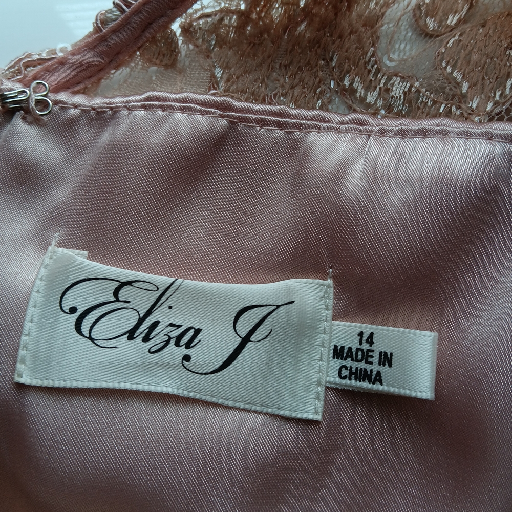 Eliza J Lace Bodice Chiffon Maxi Dress in Blush - Picture 5 of 5